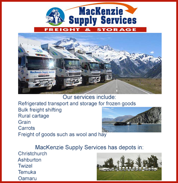 Mackenzie Supply Services - Geraldine Primary School - Dec 23